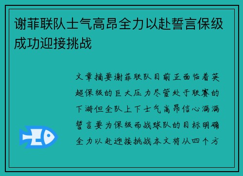 谢菲联队士气高昂全力以赴誓言保级成功迎接挑战